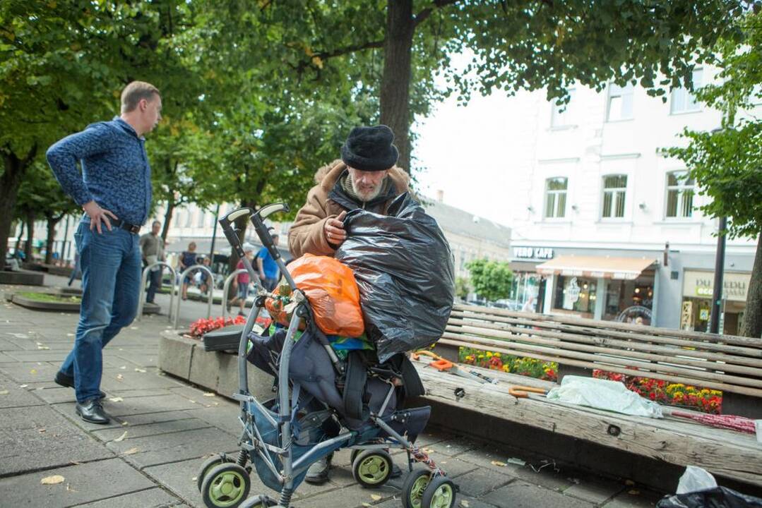 Laisvės alėjos gyventojas