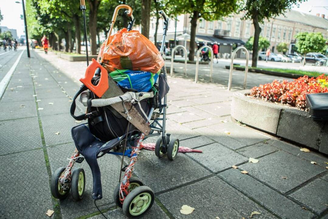 Laisvės alėjos gyventojas
