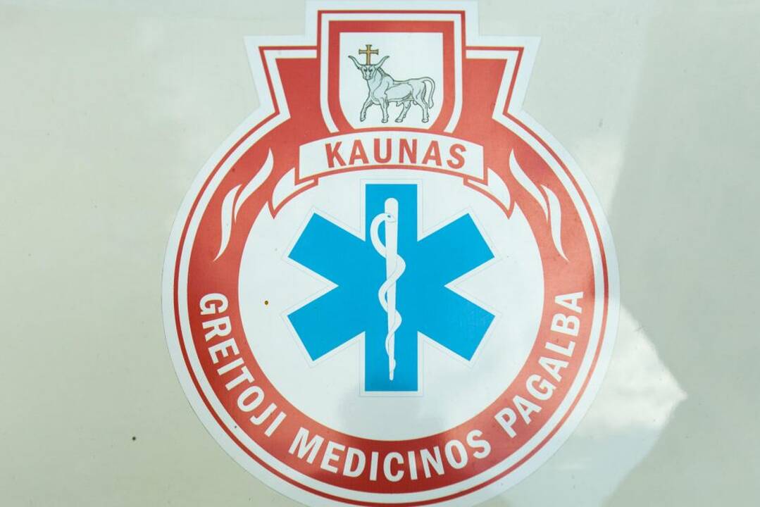 Laisvės alėjos gyventojas