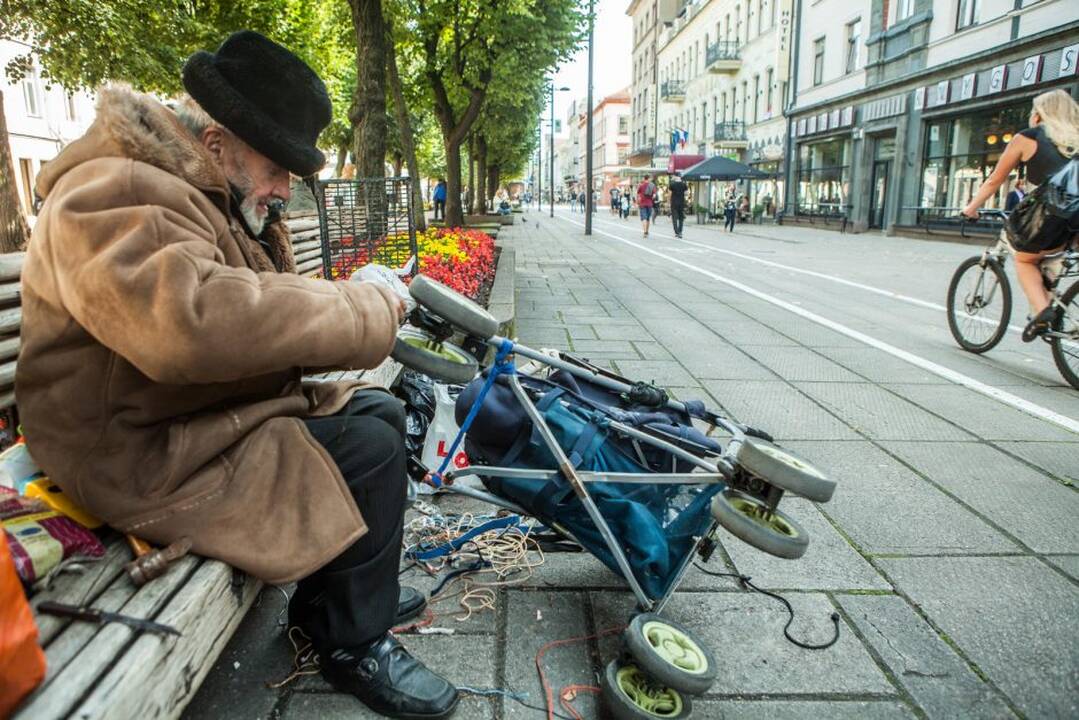 Laisvės alėjos gyventojas