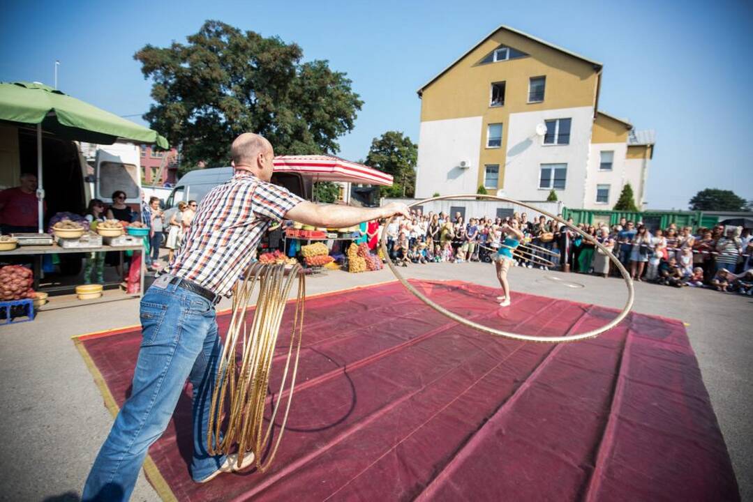 Turgaus teatro festivalis