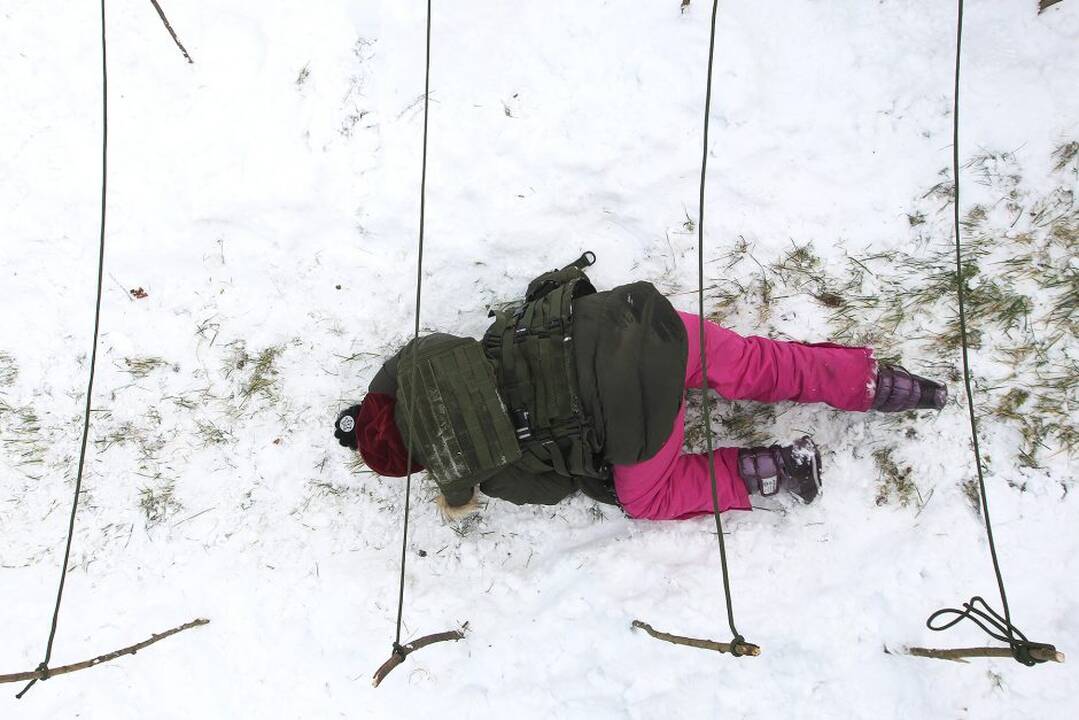 Pasaulinė sniego diena Pažaislyje