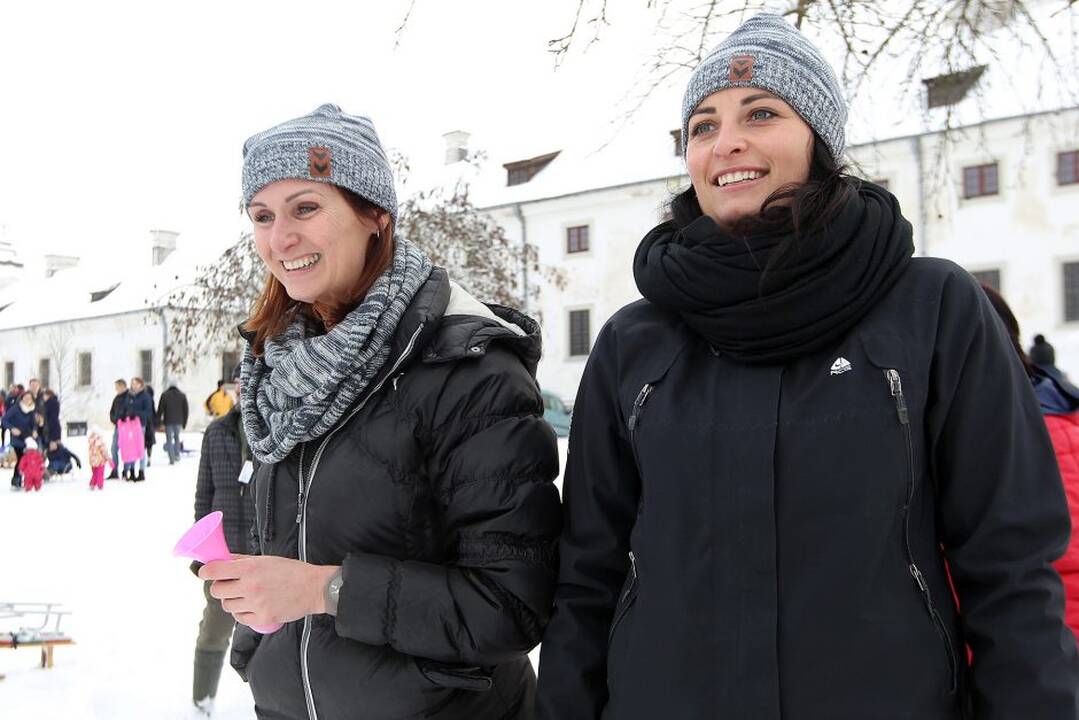 Pasaulinė sniego diena Pažaislyje