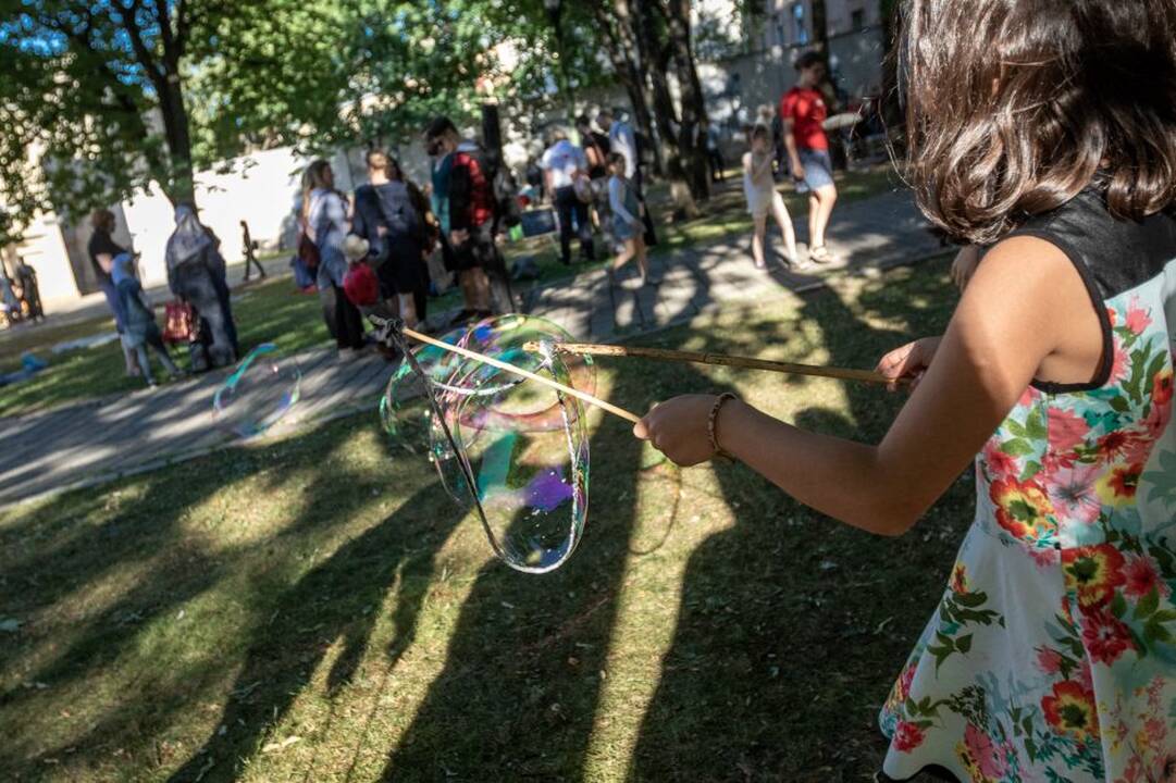 Piknikas Prezidentūros kiemelyje