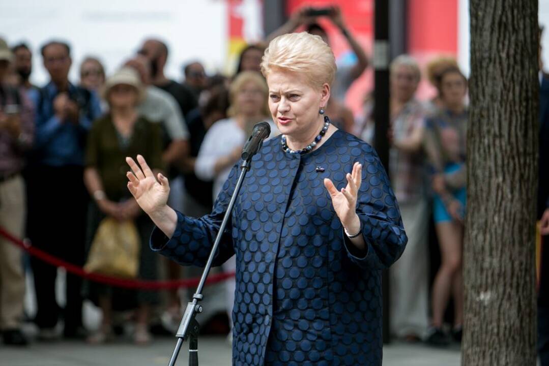 Ka­ra­lius Kau­ne pa­ger­bė sa­vo tau­tie­tį