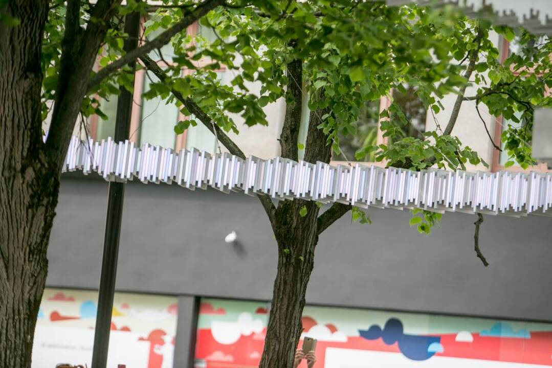 Ka­ra­lius Kau­ne pa­ger­bė sa­vo tau­tie­tį