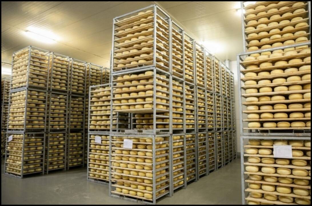 „Rokiškio sūris“ už 10 mln. eurų įsigijo 30 proc. „Agrokoncerno“ grupės įmonės akcijų