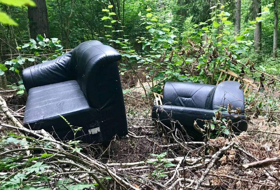 Beprotybė: miškuose randama neįtikėtinų šiukšlių.