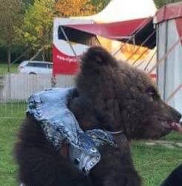 Mykolas Zobovas