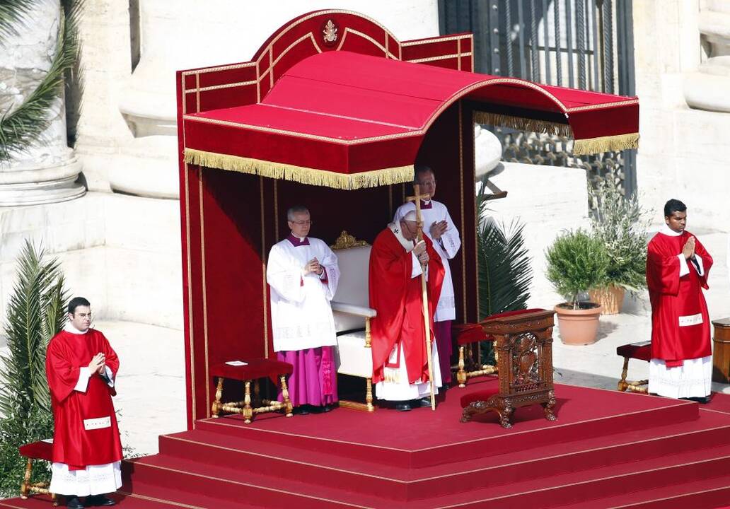 Popiežius palaimino palmių ir alyvmedžių šakeles