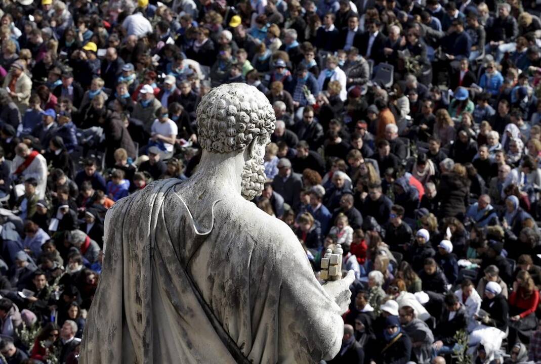 Popiežius palaimino palmių ir alyvmedžių šakeles