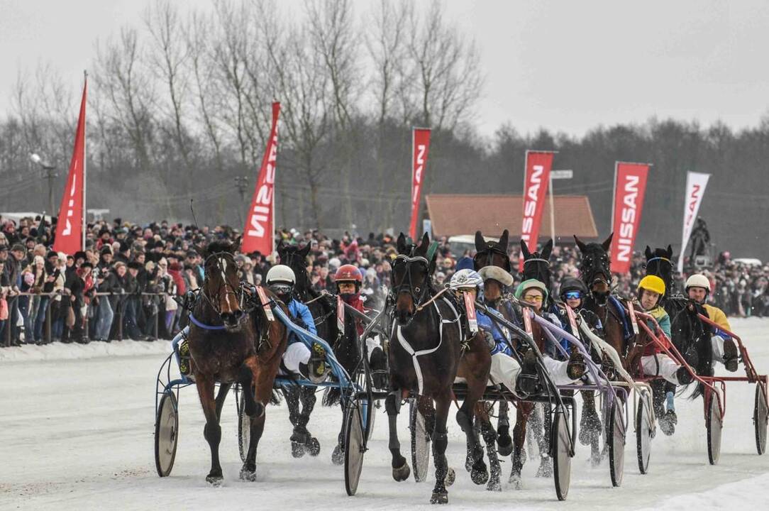 Sartų lenktynių dirigento batuta šiemet patikėta R. Pikauskui