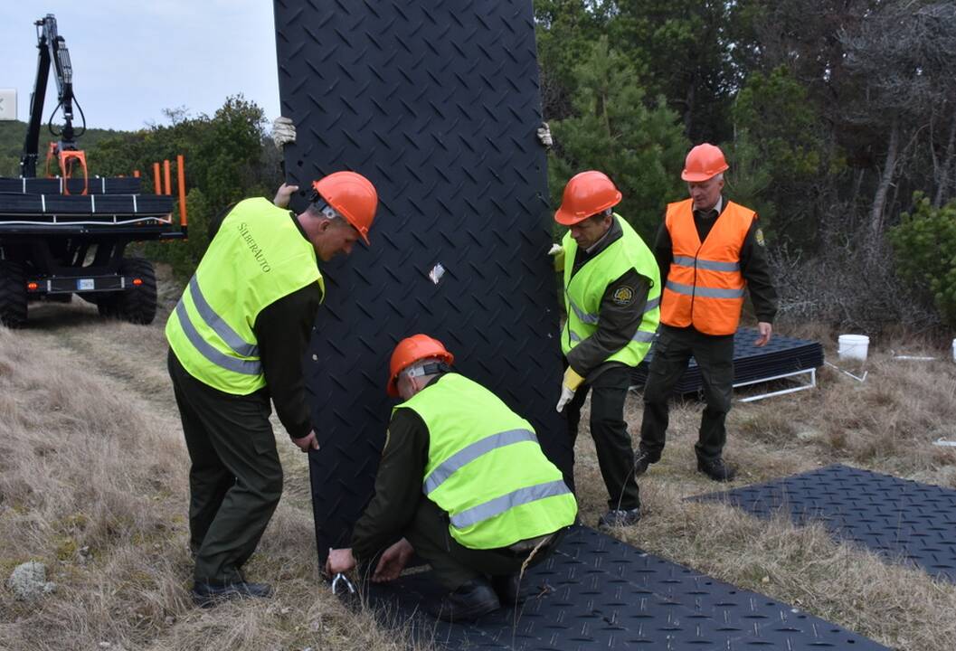 Kuršių nerijoje – miško gaisro imitacija