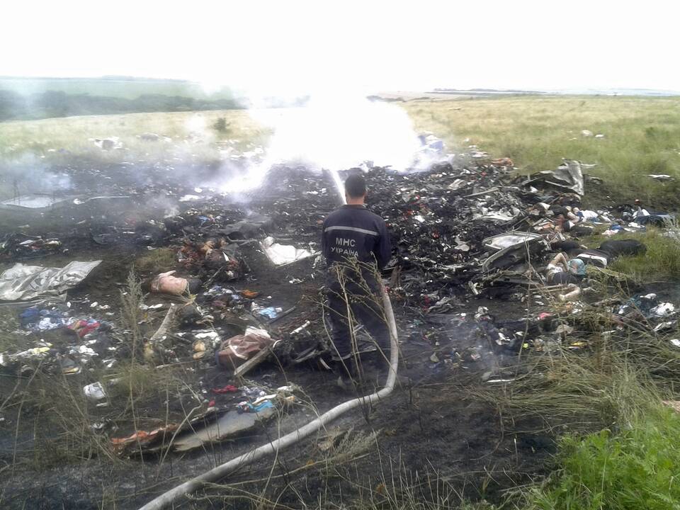 Ukraina: tyrimo išvados įrodo Rusijos dalyvavimą lėktuvo numušime