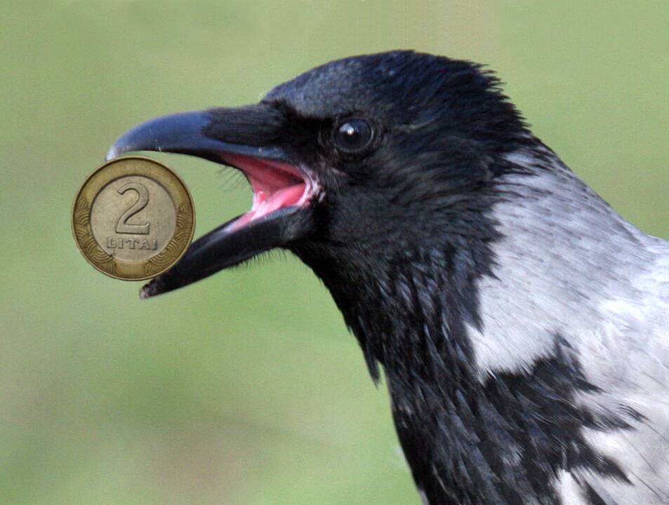 Šalies mokėjimų balansas rugsėjį buvo neigiamas