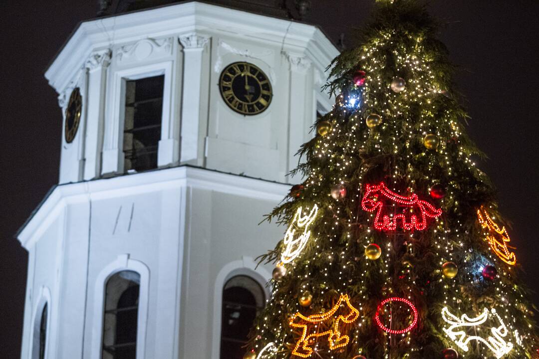 CNN įspūdingiausių eglių 12-uke – Vilniaus žaliaskarė, emigravusi į Balkanus