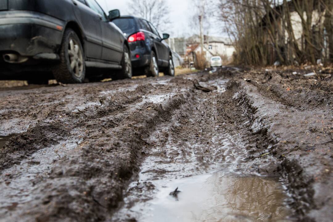 Knygų mugės lankytoja: buvo baisu lipti iš automobilio