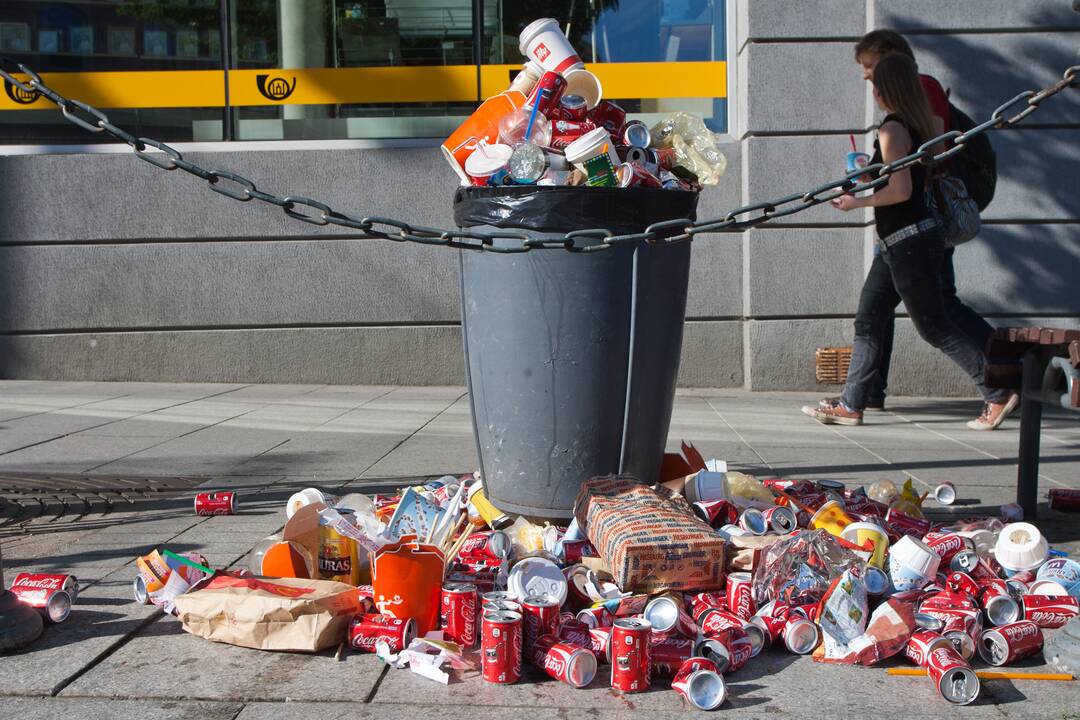 Kodėl pakuotes estai tvarko keliskart aktyviau nei lietuviai?