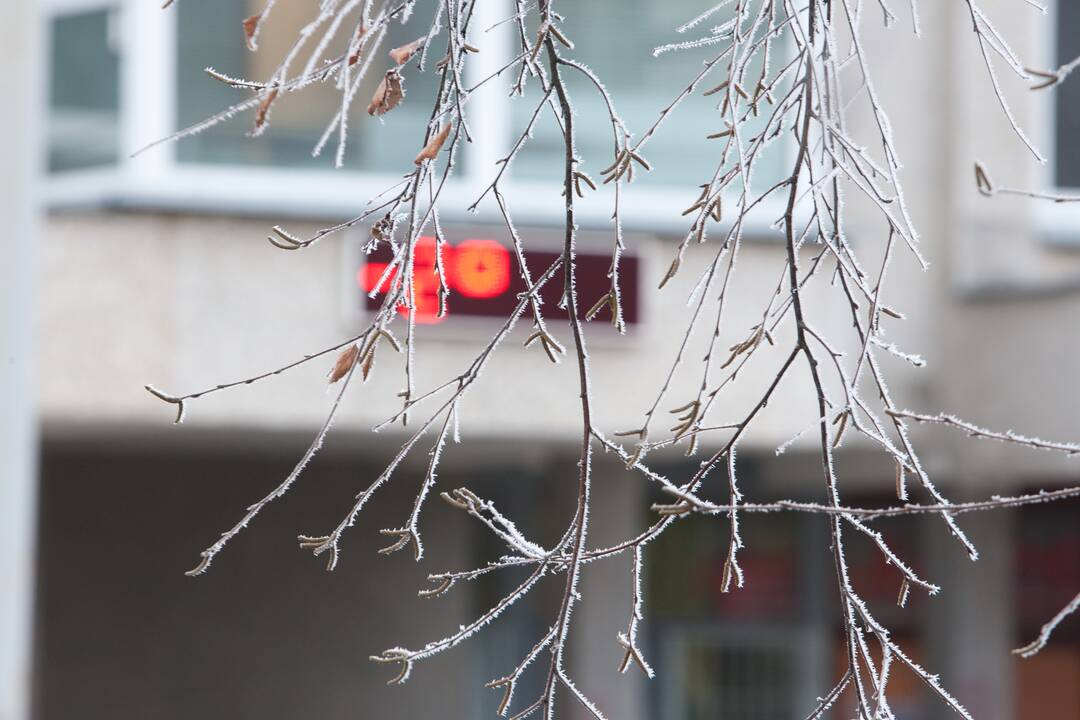 Savaitės pradžioje naktį galimas šaltukas, gausesnių kritulių nenumatoma