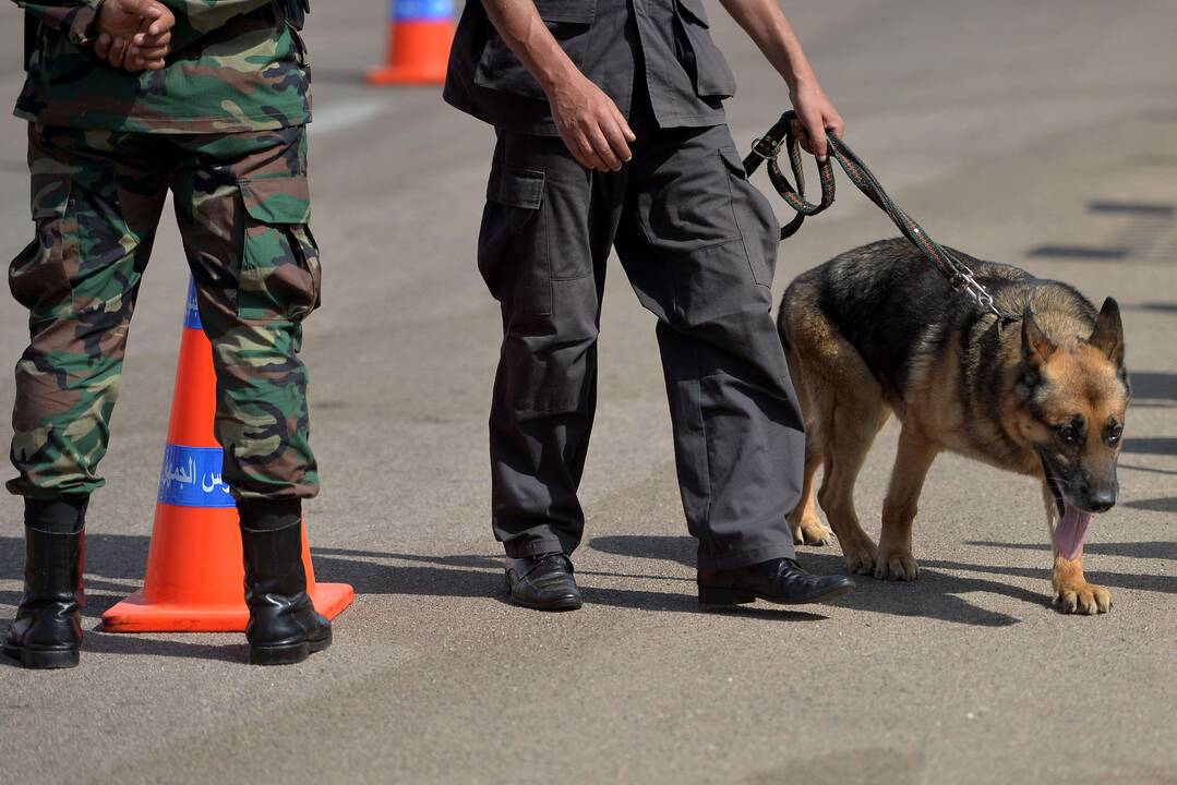 Sinajuje per išpuolius žuvo bent 5 Egipto kariai