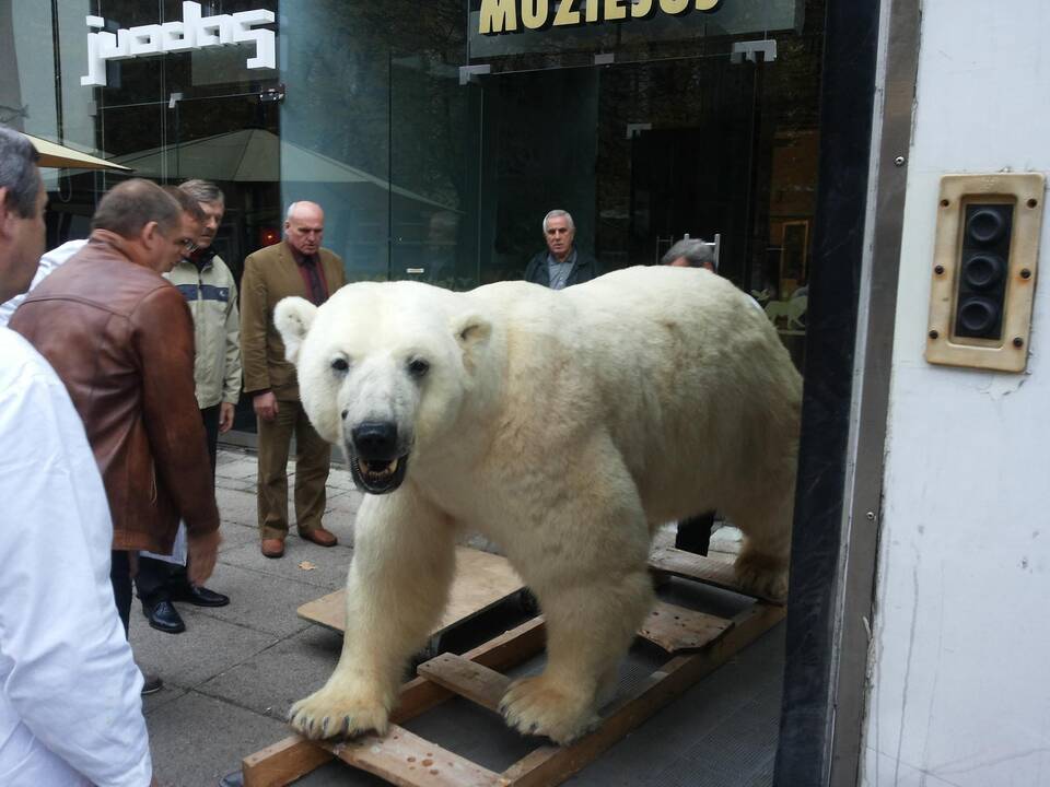 Kasparas persikėlė į T.Ivanausko zoologijos muziejų