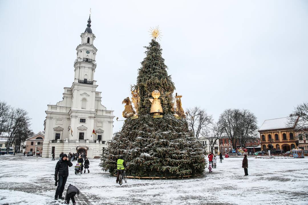 Paaiškėjo, kada bus įžiebta Kauno kalėdinė eglutė