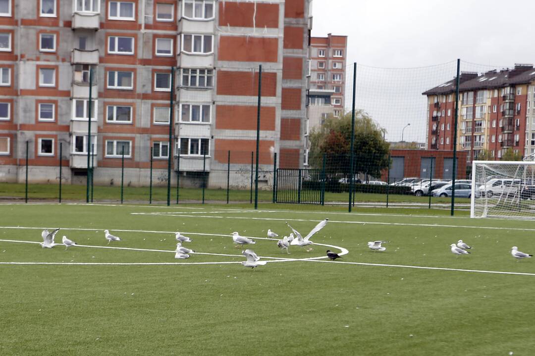 Du atnaujinti sporto aikštynai