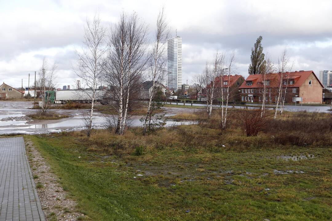 Vilkikai įsikraustė į svetimą žemę