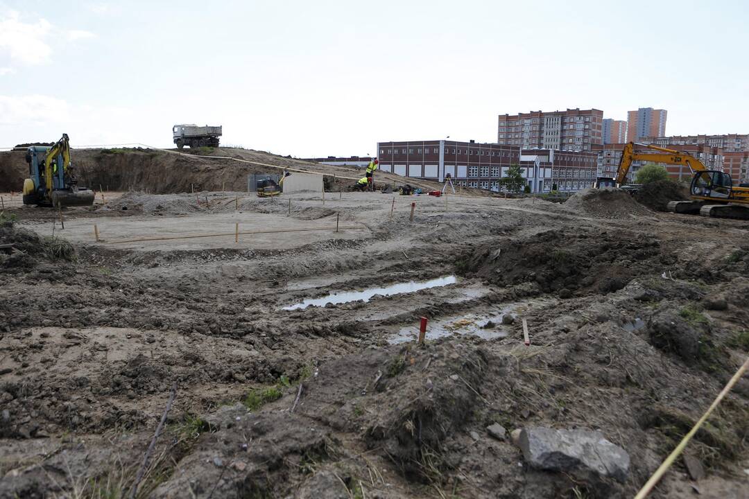 Apžiūrėjo tvarkomą Sąjūdžio parką
