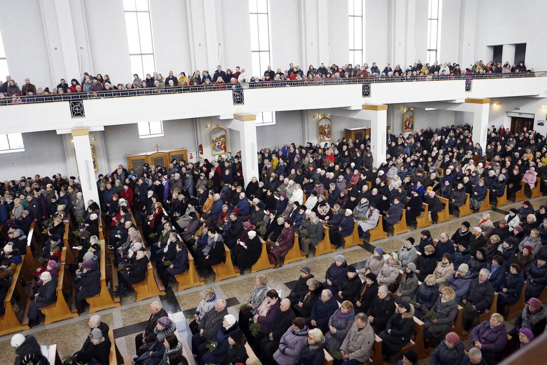 Verbų sekmadienis Juozapo darbininko bažnyčioje