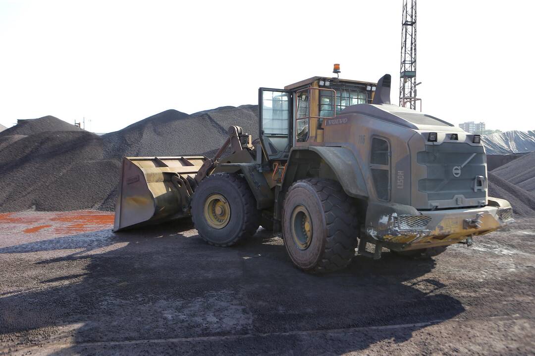 Klasco: dulkių audros bus suvaldytos