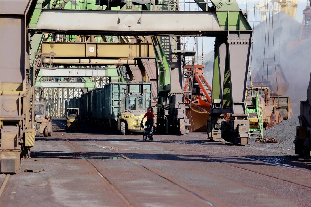 Klasco: dulkių audros bus suvaldytos