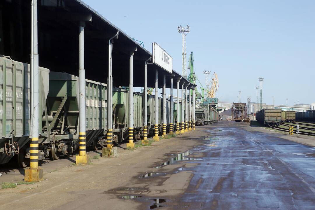 Klasco: dulkių audros bus suvaldytos