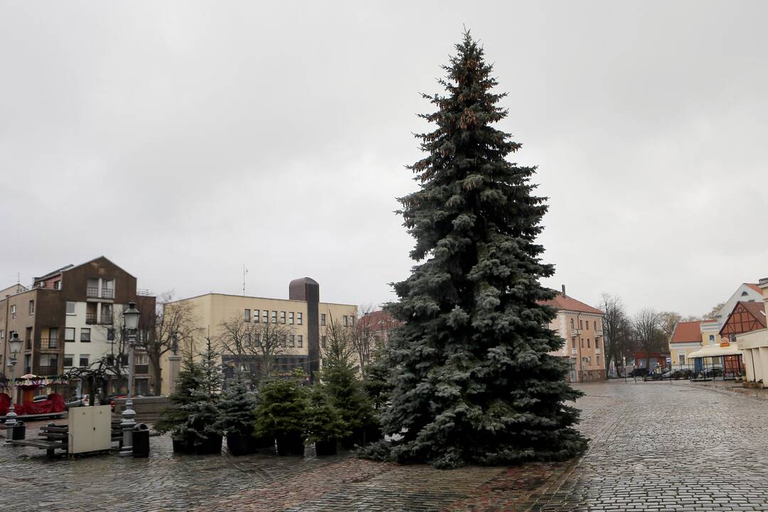 Klaipėda ruošiasi Kalėdoms