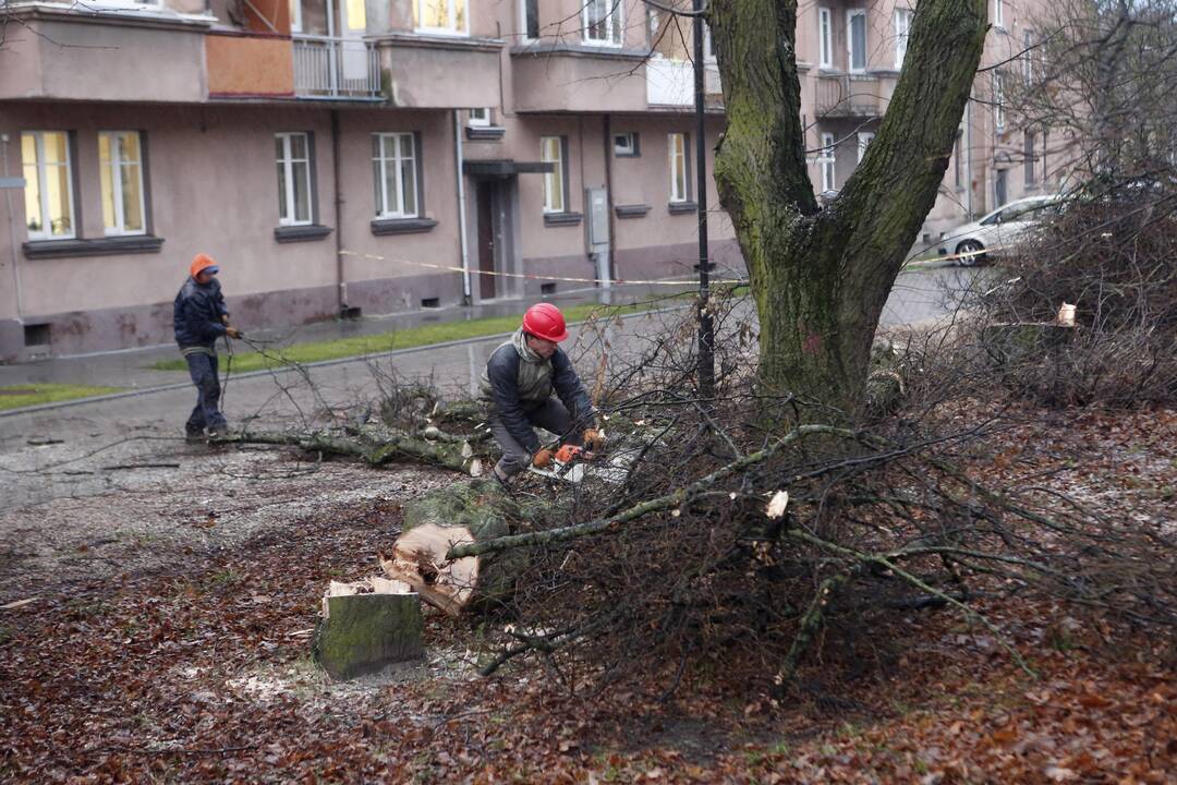 Gyventojai pasipyktino dėl kieme atliekamų darbų