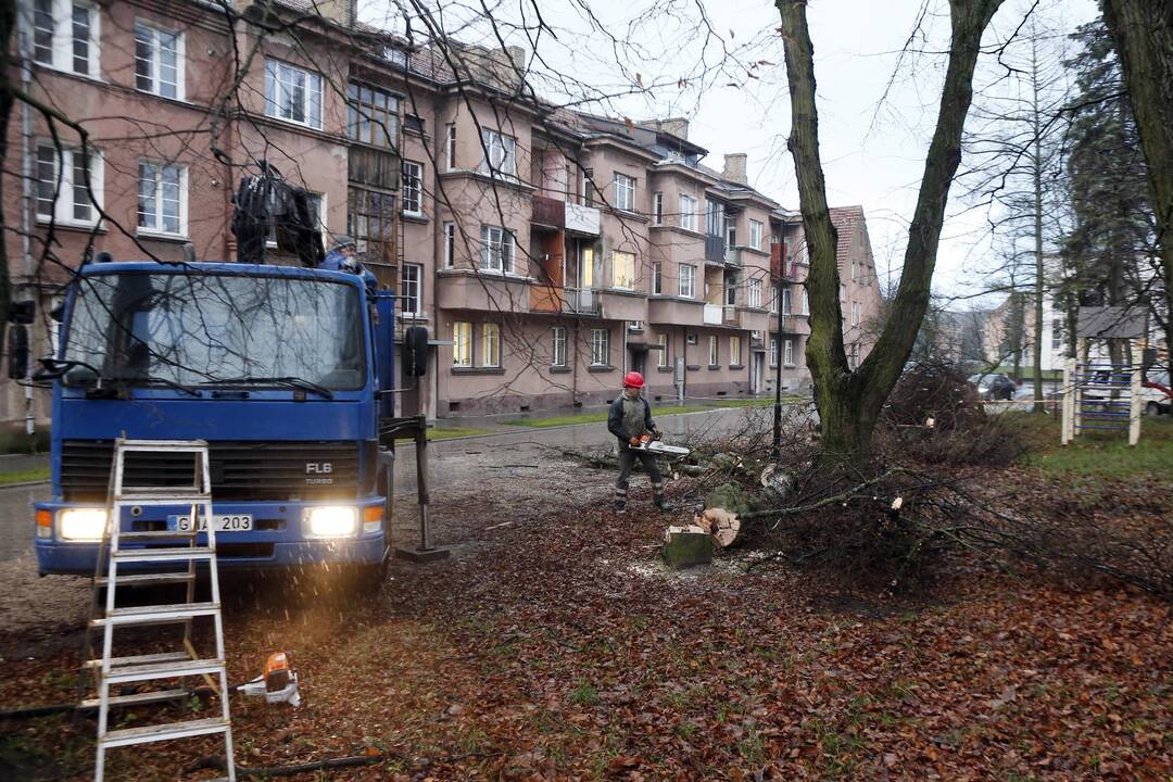 Gyventojai pasipyktino dėl kieme atliekamų darbų