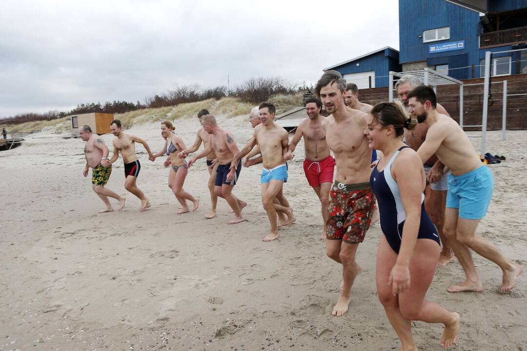 Ruonių maudynės Baltijos jūroje