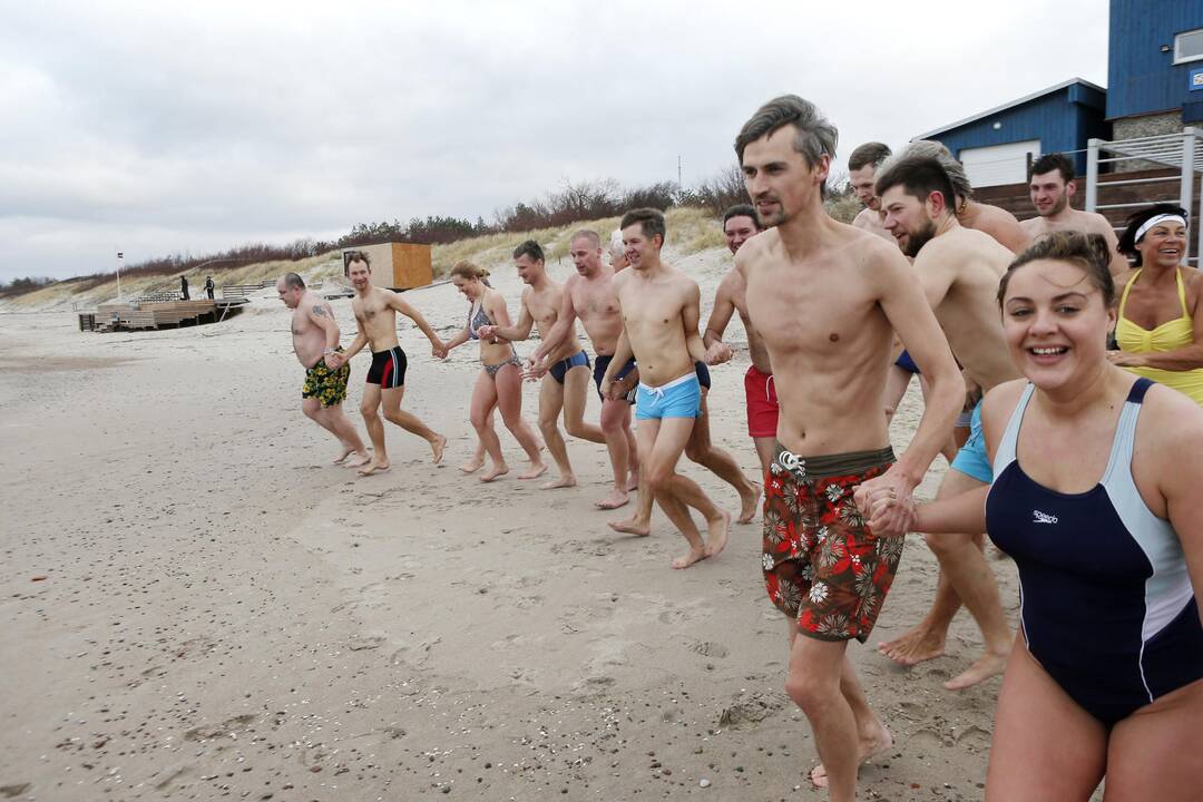 Ruonių maudynės Baltijos jūroje