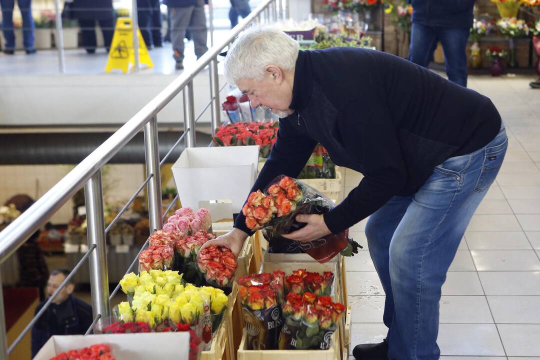 Uostamiesčio moterims – tulpių žiedai