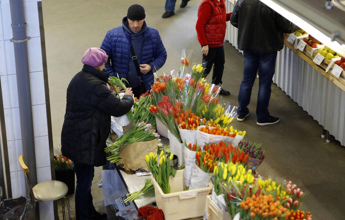 Uostamiesčio moterims – tulpių žiedai