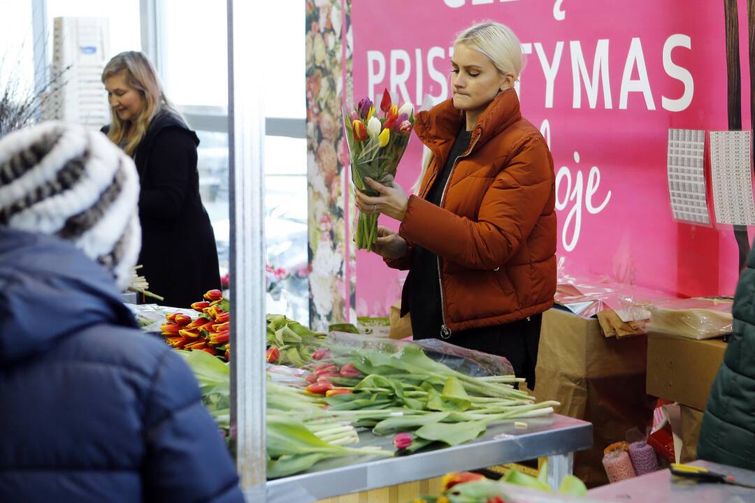 Uostamiesčio moterims – tulpių žiedai