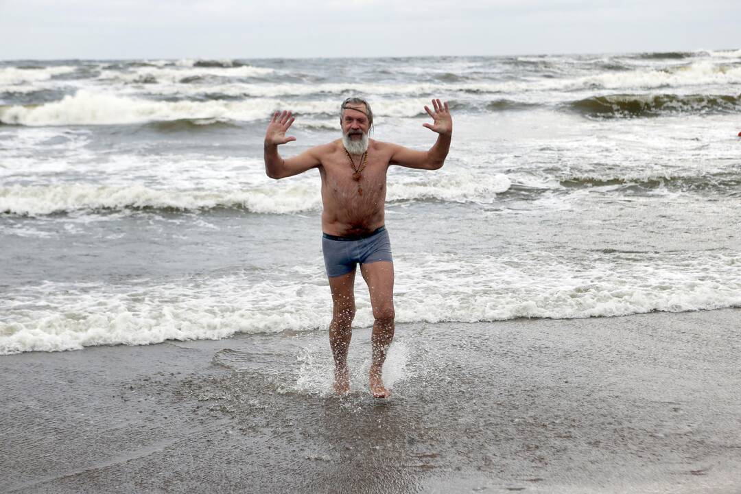 Ruonių maudynės Baltijos jūroje