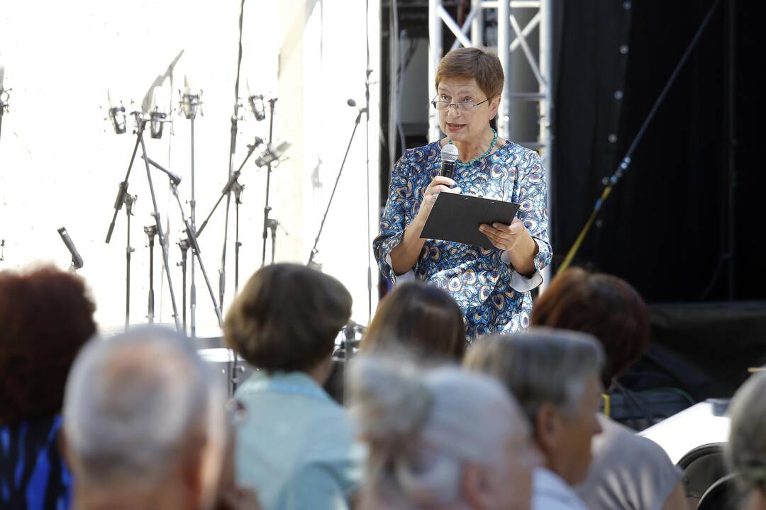 Karilionų festivalis - Vidudienio varpai