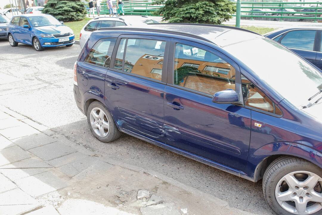 Avarija Danės gatvėje