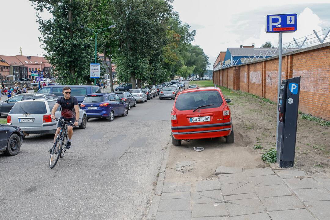 Avarija Danės gatvėje