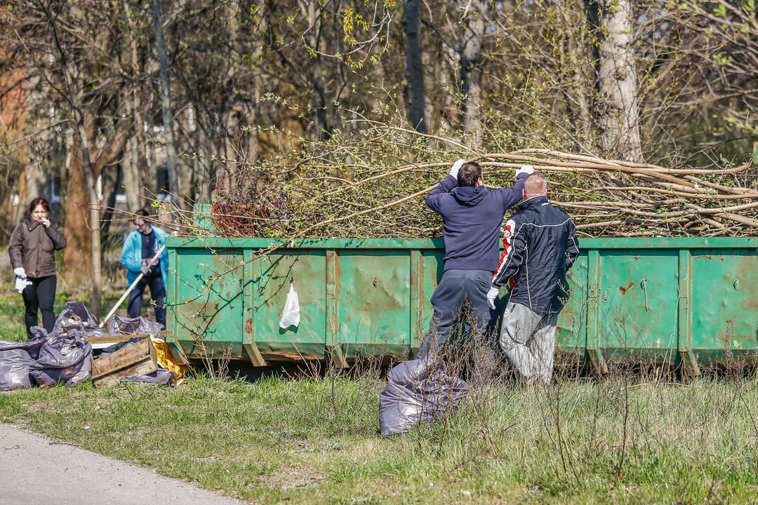 Darom 2018 Klaipėdoje