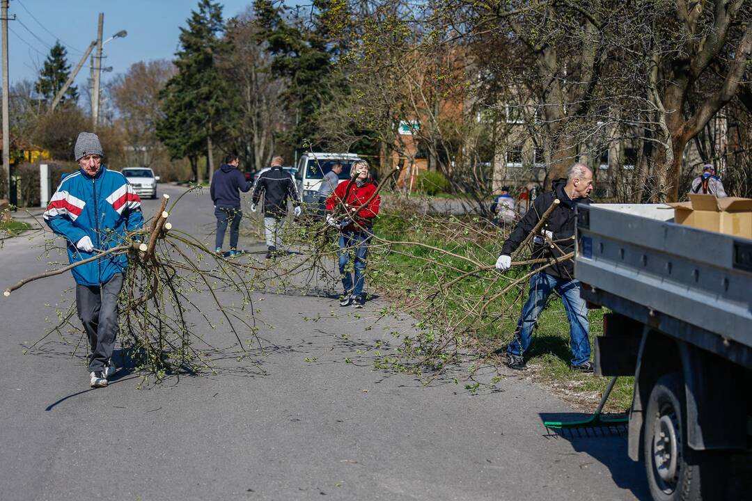 Darom 2018 Klaipėdoje