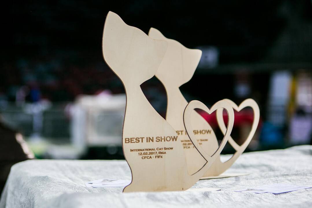 Kačių paroda "Baltic Winner CAT show"