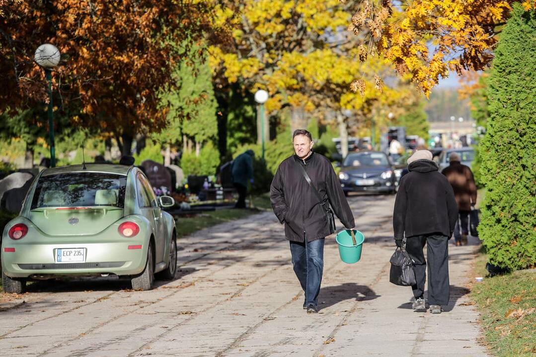 Kapinių lankymas