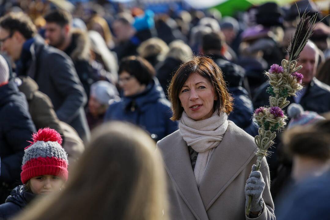Kaziuko mugė